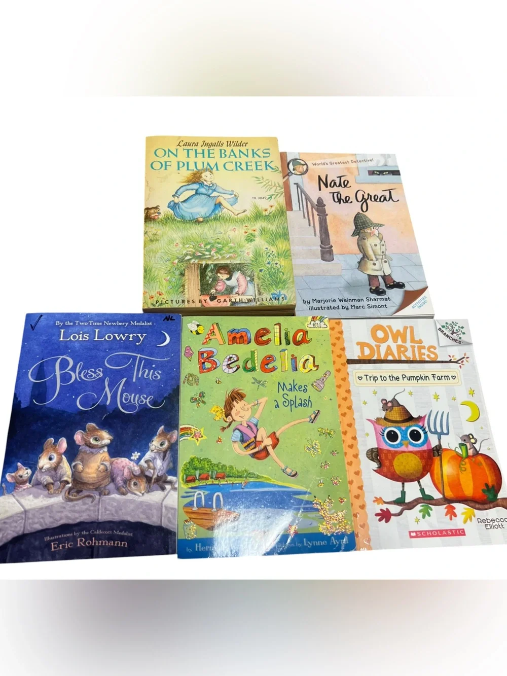 Lot of 5 Children's Early Chapter Books - Colorful Assortment